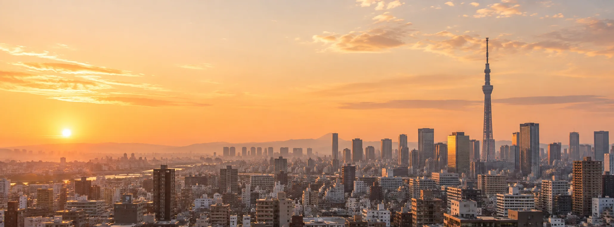 夕暮れの東京の街並みと東京スカイツリー
